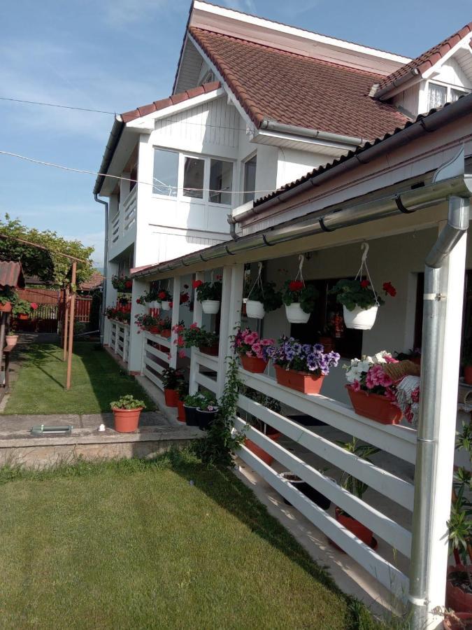 Cazare Turism Prislop Hotel Hateg Ngoại thất bức ảnh